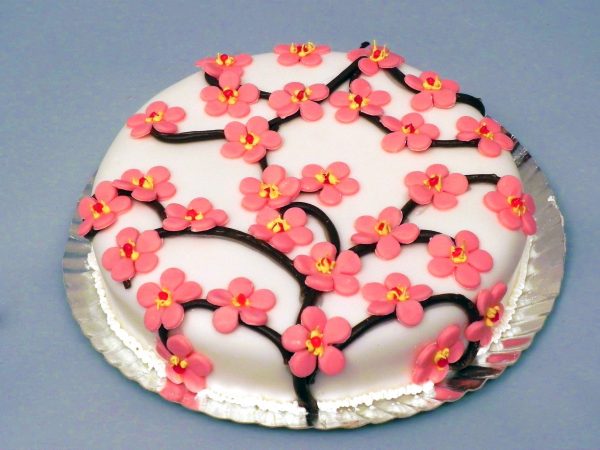 Tort Tiramisu - imagine 2